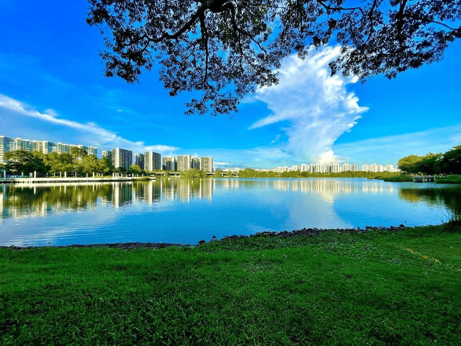 Jurong Lake Garden