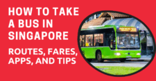 How to Take a Bus in Singapore