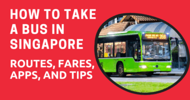 How to Take a Bus in Singapore