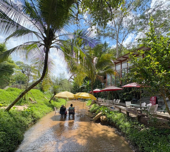 instagrammable Chiang Mai cafes