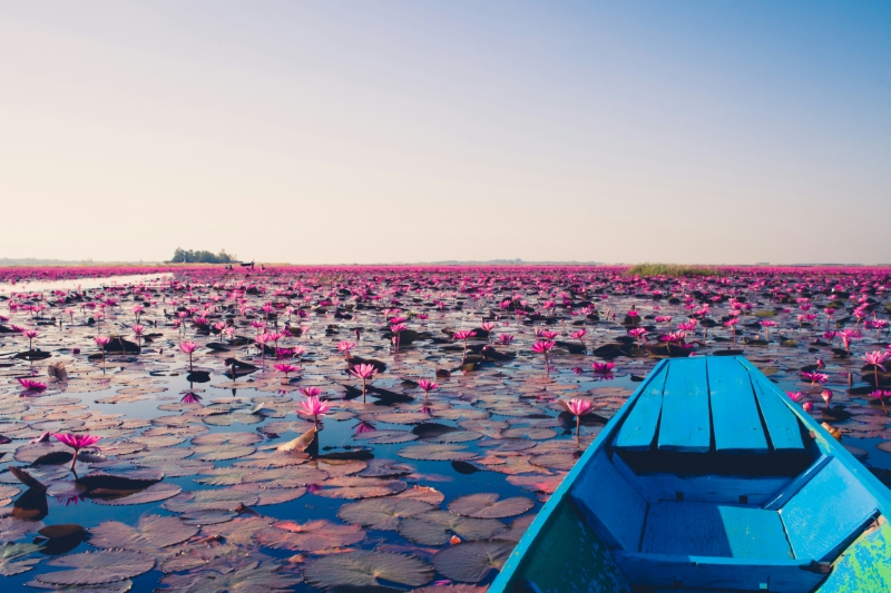 Red Lotus Lake Kumphawap