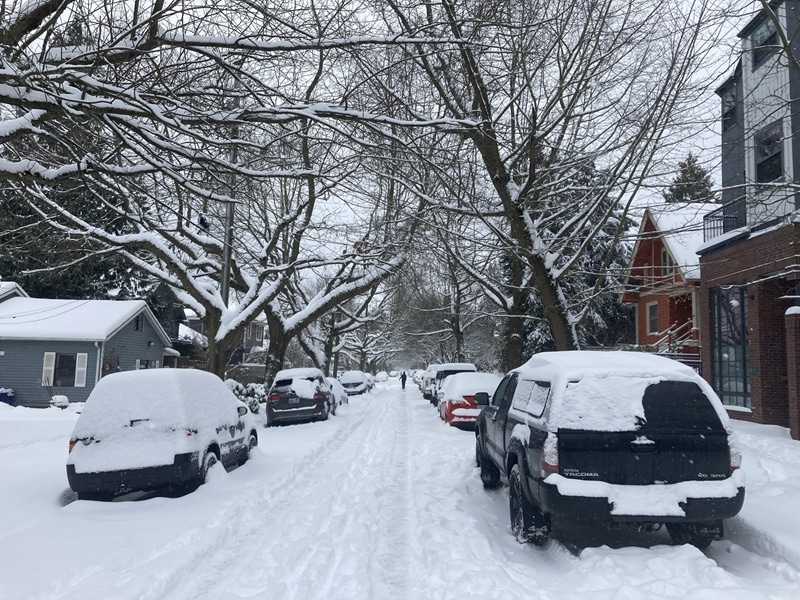 snowy day in Seattle