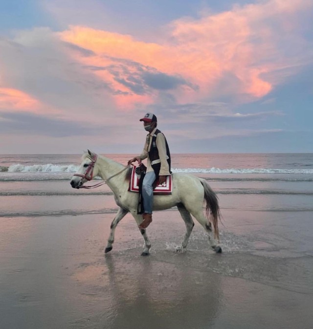 Hua Hin horse on the beach
