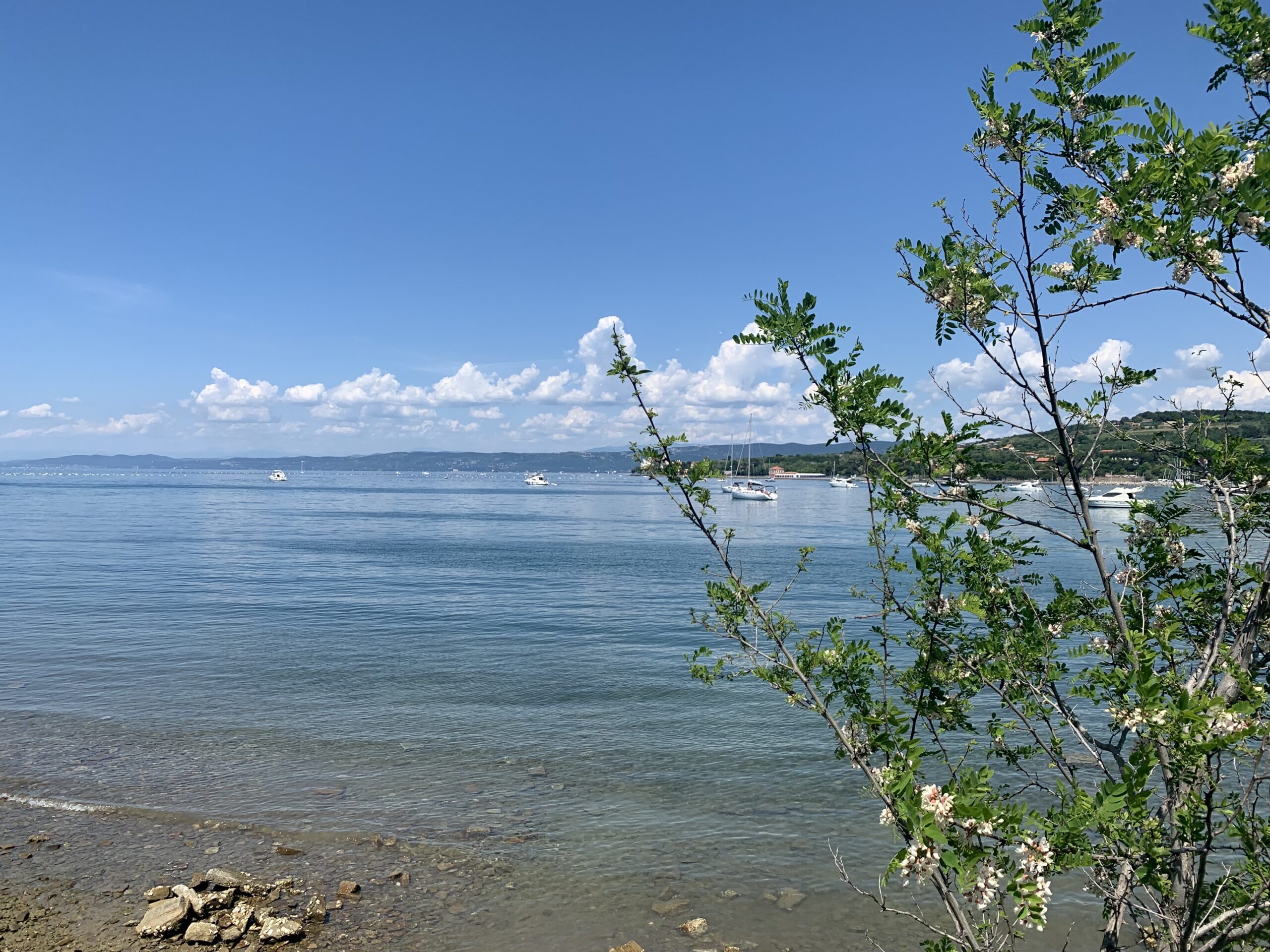 beach near Koper