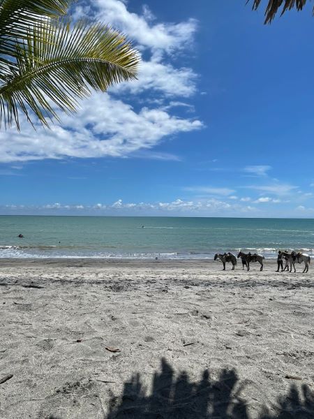 Playa Blanca beach resort on Panama's Pacific coast