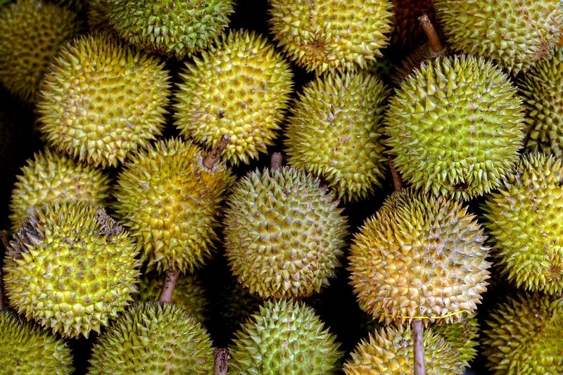 A pile of durian fruit for sale
